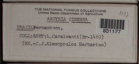 Image Associated With the Occurence